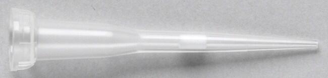 Наконечники FISHERBRAND™ SUREONE™ універсальні об’ємом 0.1-5 мкл стерильні з фільтром поліпропіленові для дозаторів, 10x96 шт в змінних блоках